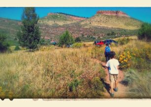 You’ll Never Believe How Much the MMM Family Spent This Year…